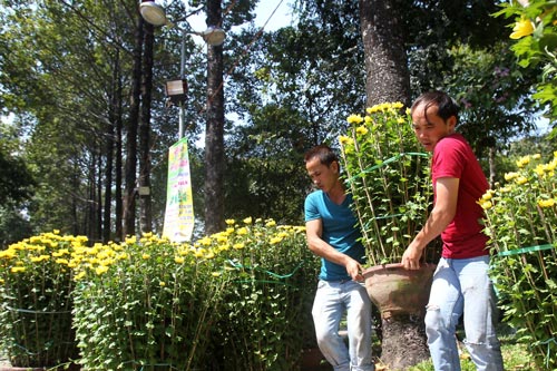 Thời điểm cận Tết, nhiều người phải bưng bê vật nặng khi dọn dẹp nhà cửa dẫn đến số ca cụp xương sống gia tăng Ảnh: HOÀNG TRIỀU