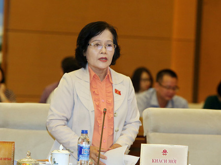 Chính phủ chưa đồng ý có Luật Hành chính công