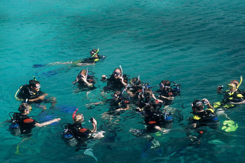 Du khách được hướng dẫn lặn ở biển Nha Trang Ảnh: Nam Phương