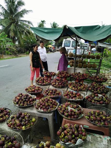 
Măng cụt đầy ắp, khắp bãi biển
