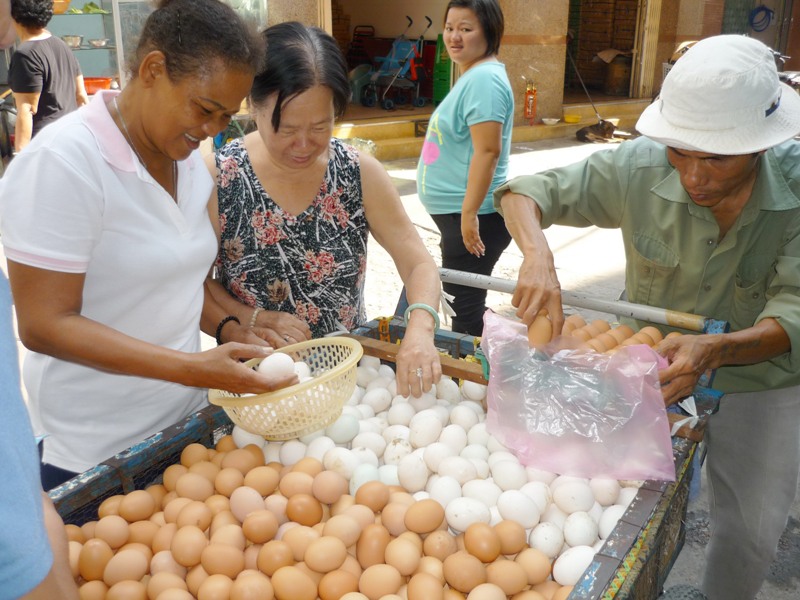 Quả trứng cay đắng! - Ảnh 1. Quả trứng cay đắng! - Ảnh 1.