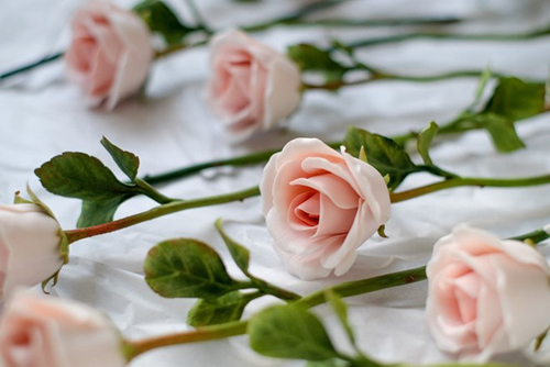 
Hoa hồng sứ có hình dáng khá giống hoa thật
