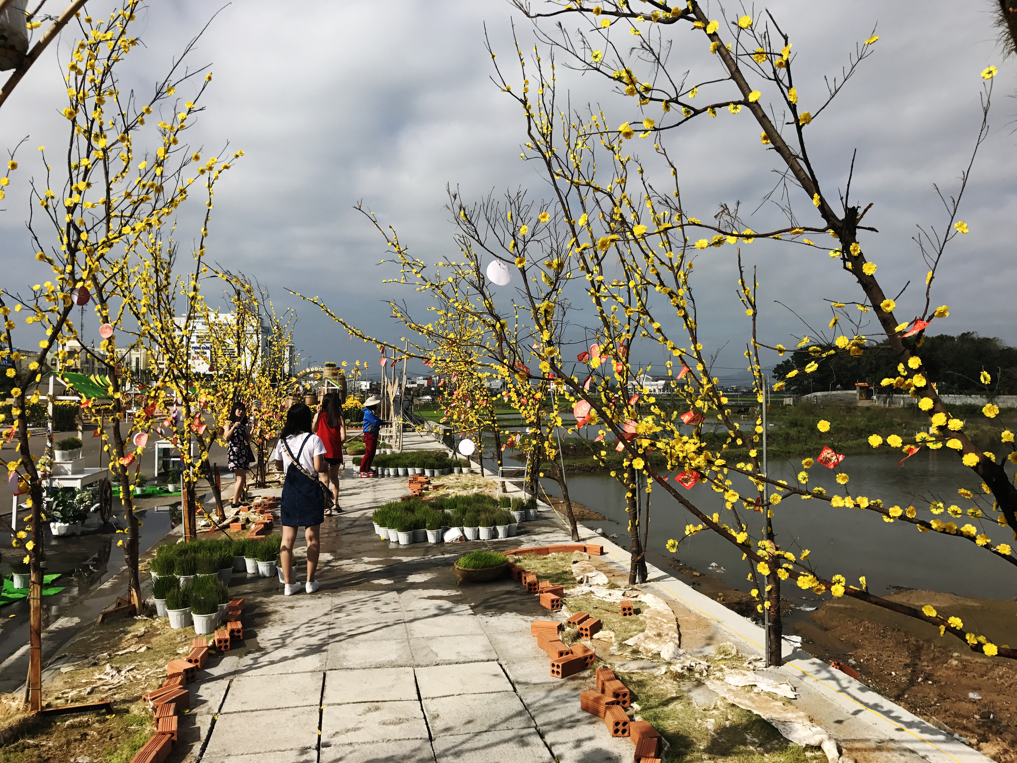 Đường hoa xuân: Với những đường hoa xuân tràn ngập màu sắc và sắp được ra mắt trong ánh đèn lung linh, bạn sẽ không muốn chờ đợi để khám phá tất cả vẻ đẹp của đường hoa. Hãy tận hưởng không khí rộn ràng và đầy sức sống của mùa xuân trên những con đường đẹp nhất Việt Nam.