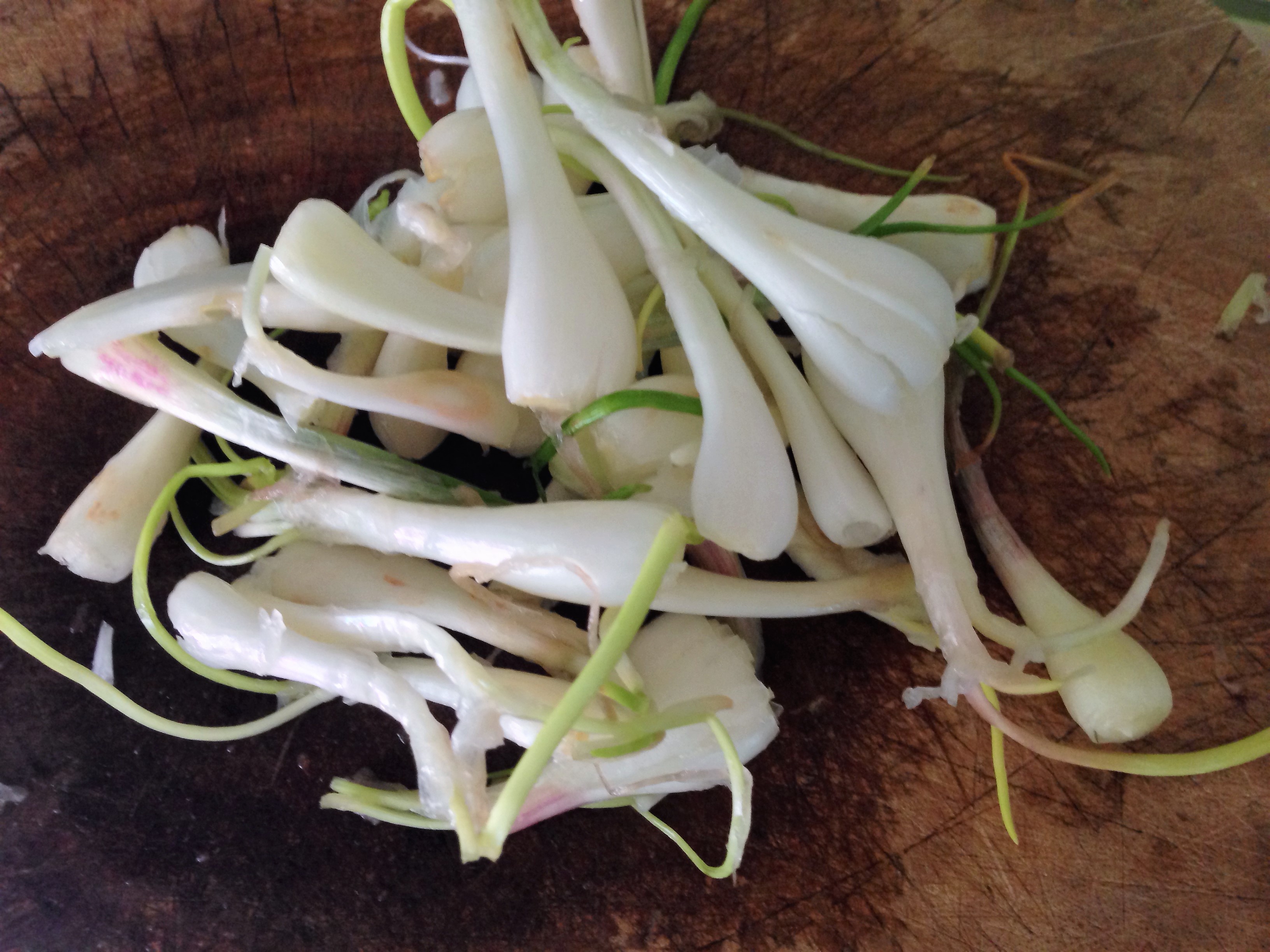  Đập kiệu dập dập 