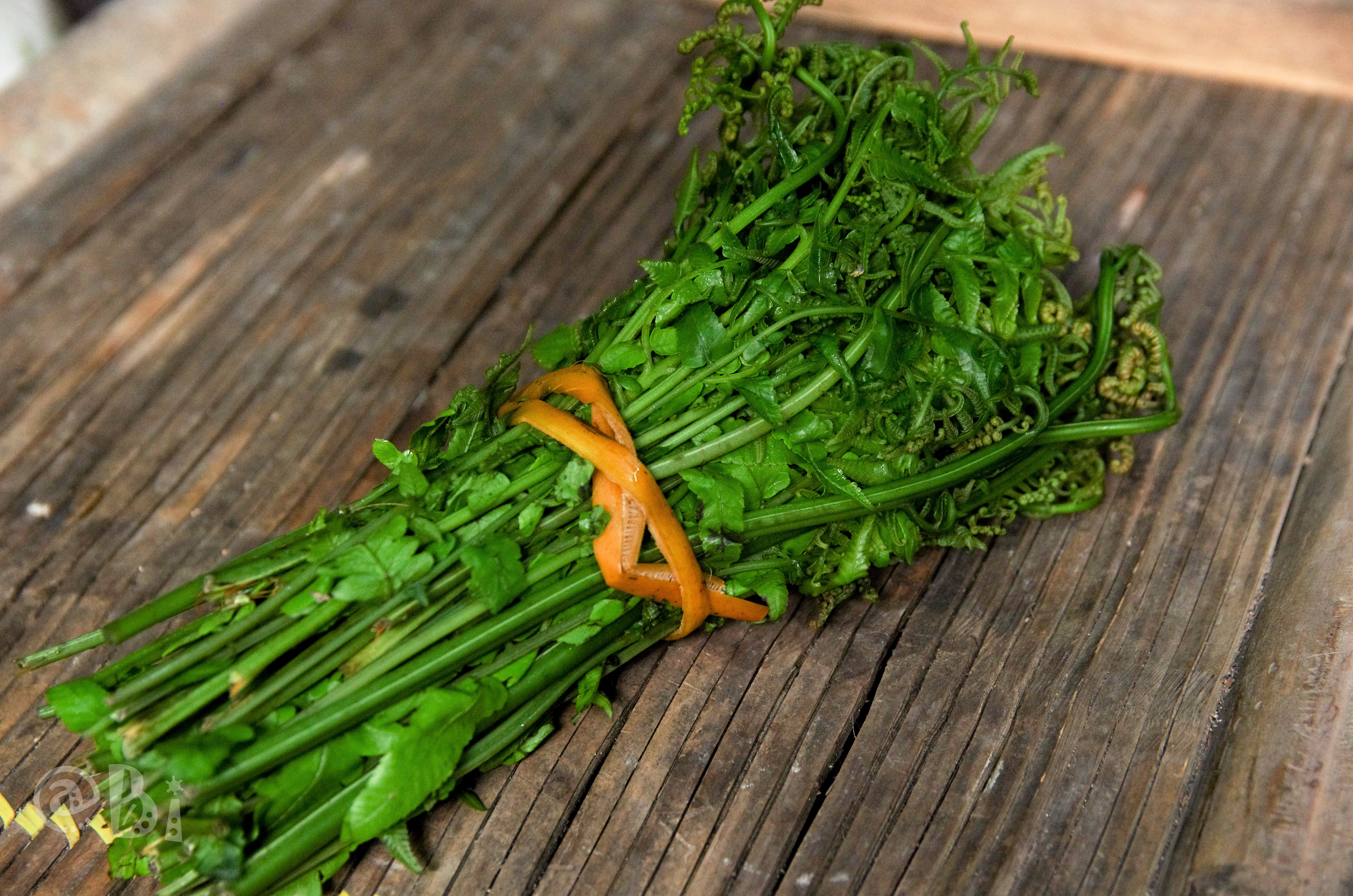 Rau dớn có tác dụng gì với sức khỏe?