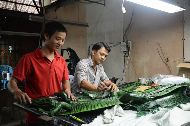 Hàng vạn con cá sấu đói lả ‘chờ chết’ - Ảnh 2.