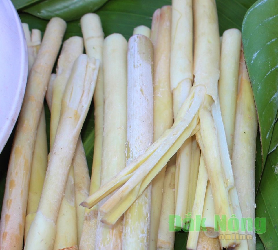 Cách Nấu Canh Đọt Mây - Đ&7885T Mây Nư&7899Ng, Lá Nhíp Xào