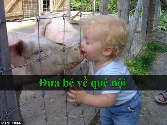 Chết cười với những màn “quậy” của trẻ em