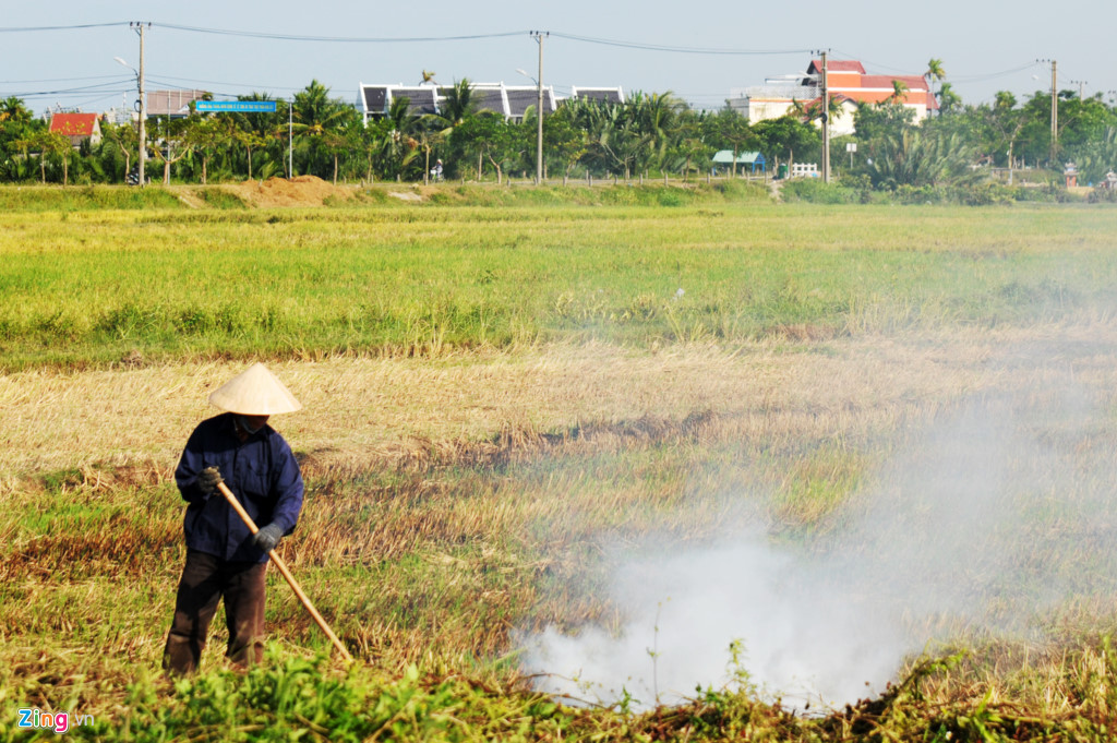 Làng biệt thự giữa miền quê Hội An - Ảnh 14.