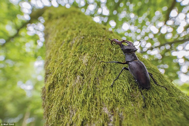 Những bức ảnh du lịch ngoài trời đẹp nhất năm 2016