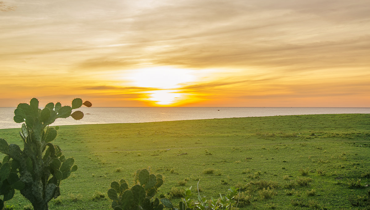 Ghé Phú Yên thăm phim trường “Tôi đã thấy hoa vàng trên cỏ xanh” - Báo Người lao động