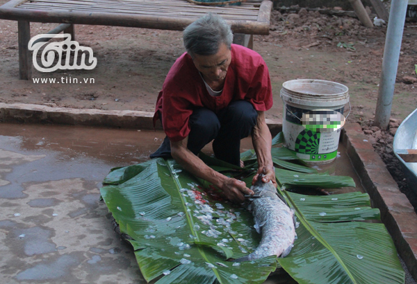Cận cảnh quy trình chế biến món cá kho làng Vũ Đại đắt nhất Việt Nam 
