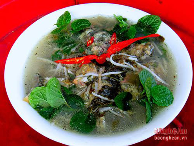 Ngư dân Nghệ An hè nhau xuống biển săn 'thần dược'