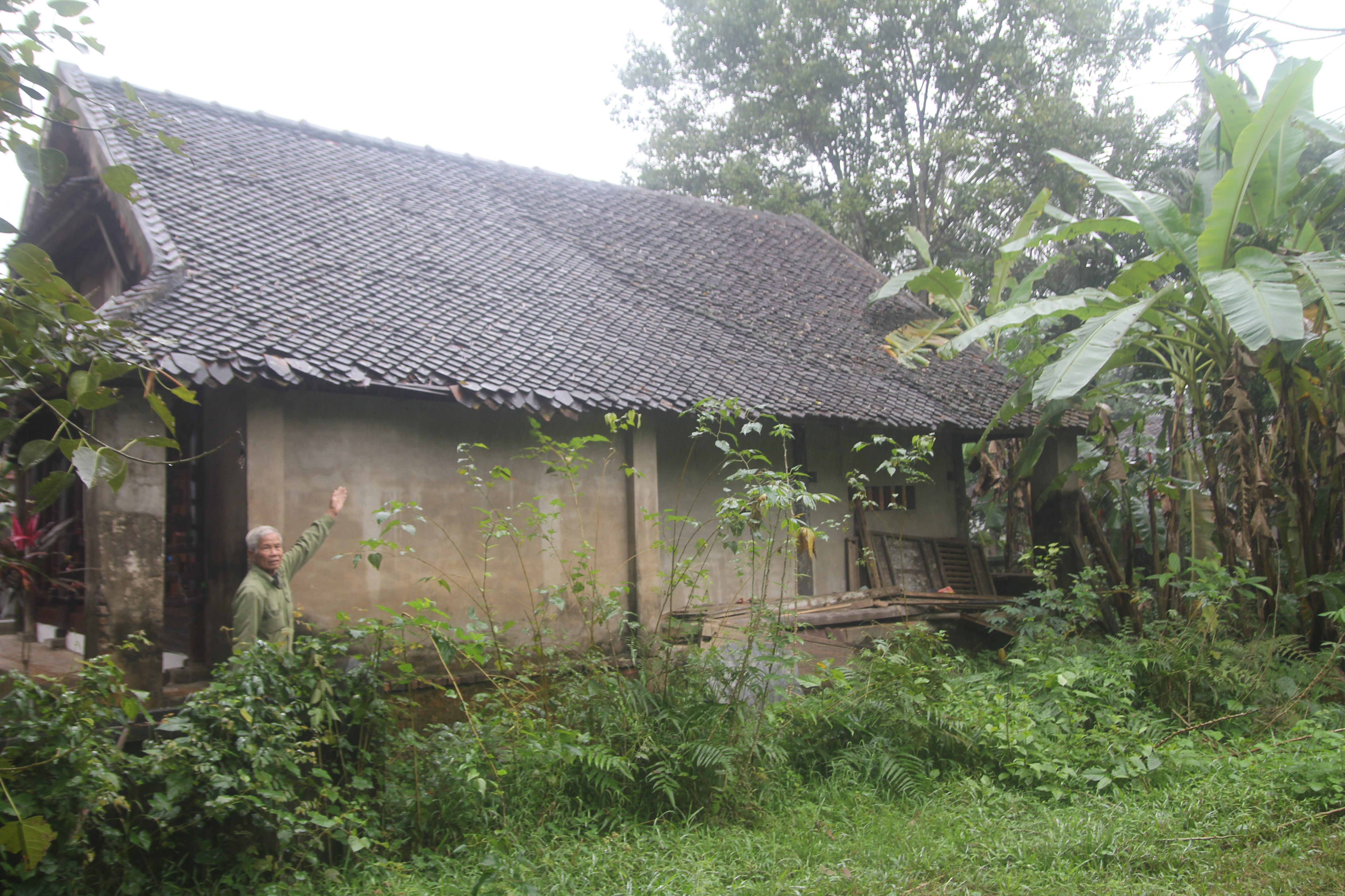  Cỏ mọc um t&ugrave;m ở nhiều hạng mục của di t&iacute;ch đền Rậm 