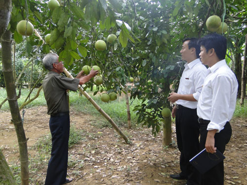 Cán bộ tín dụng Agribank hỗ trợ bà con nông dân vay vốn sản xuất