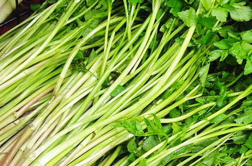 Rau cần là loại rau rất quen thuộc trong các bữa ăn hằng ngày của mọi gia đình Ảnh: Healthplus.vn