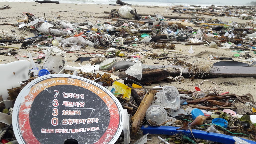 Hàng chục tấn rác bủa vây 9 km bờ biển Đà Nẵng - Ảnh 5.