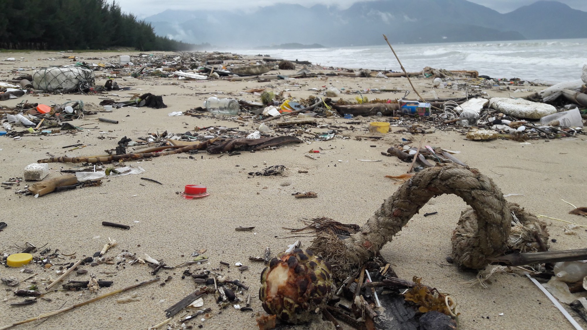 Hàng chục tấn rác bủa vây 9 km bờ biển Đà Nẵng - Ảnh 2.