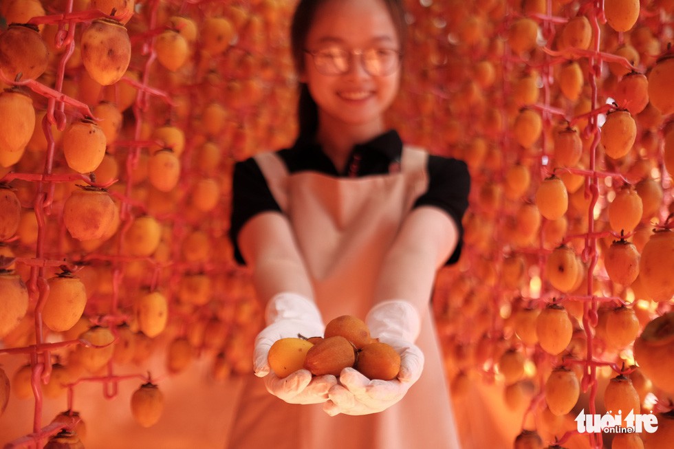 Hồng treo gió kiểu Nhật cứu cả ngành hồng Đà Lạt