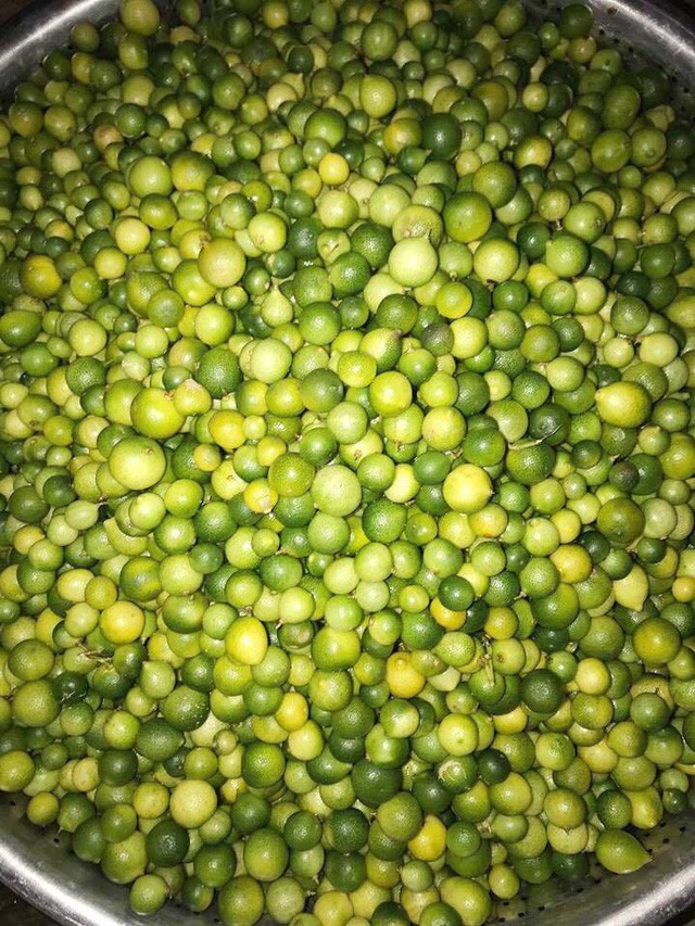Sốt chanh rừng Mẫu Sơn - Ảnh 1.