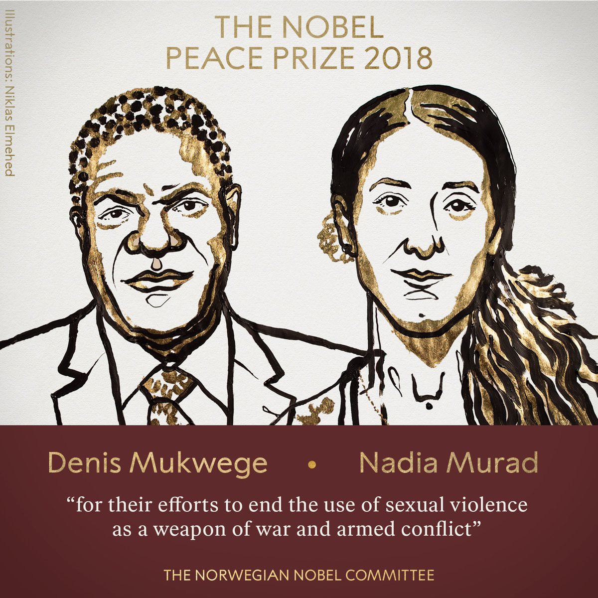 Nobel Hòa bình 2018 vinh danh chiến binh chống bạo lực tình dục - Ảnh 3.