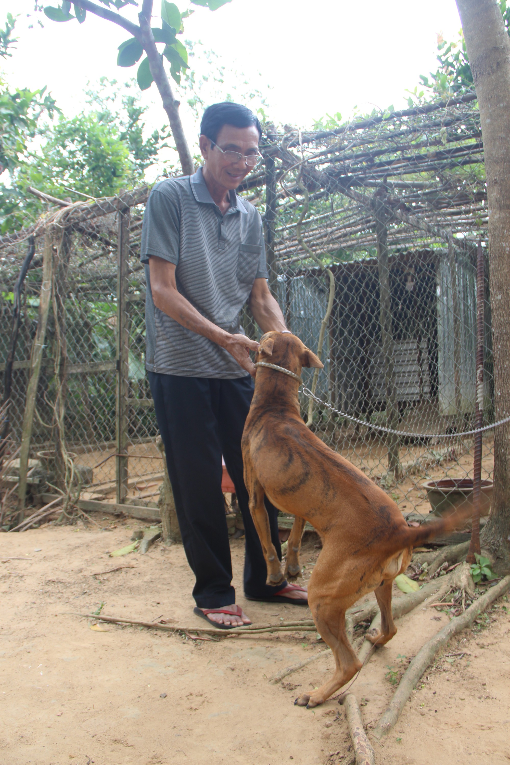 Chó xoáy Phú Quốc: Với đôi tai và bộ lông xoáy bắt mắt, chó xoáy Phú Quốc là một trong những giống chó đẹp nhất và độc đáo nhất tại Việt Nam. Hoàn toàn có thể thấy rằng giống chó này đang trở thành sự lựa chọn yêu thích của nhiều người yêu thú cưng.