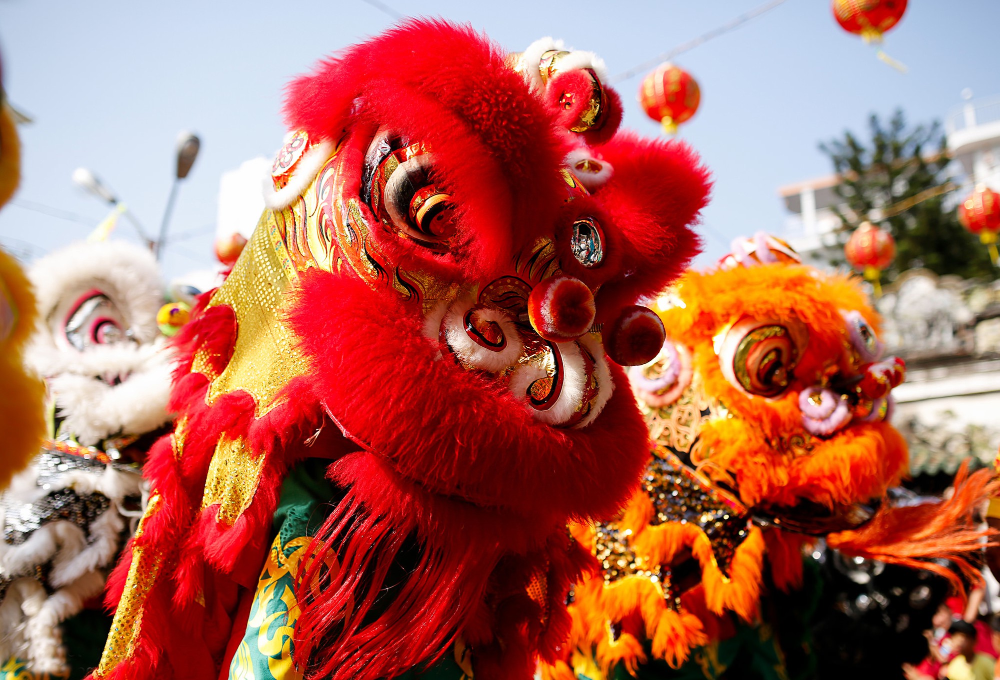 Lân - Sư - Rồng xuống phố là sự kiện thường niên được mong đợi nhất trong năm. Với những màn diễu hành vô cùng hoành tráng và phong cách trình diễn đặc biệt, Lân sư rồng đã trở thành một biểu tượng văn hóa Việt Nam đầy màu sắc. Hãy đến và tham gia vào không khí lễ hội đầy sôi động này!