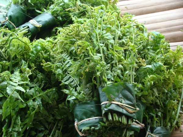 Mê mẩn những loại rau ngon, độc, lạ ở Hà Giang - Ảnh 1.