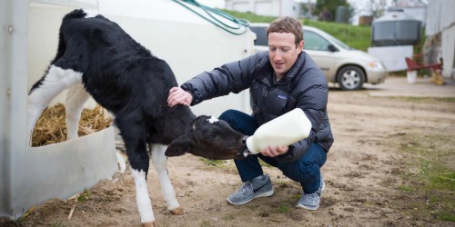 Facebook tốn hàng triệu USD bảo vệ Mark Zuckerberg mỗi năm - Ảnh 1.