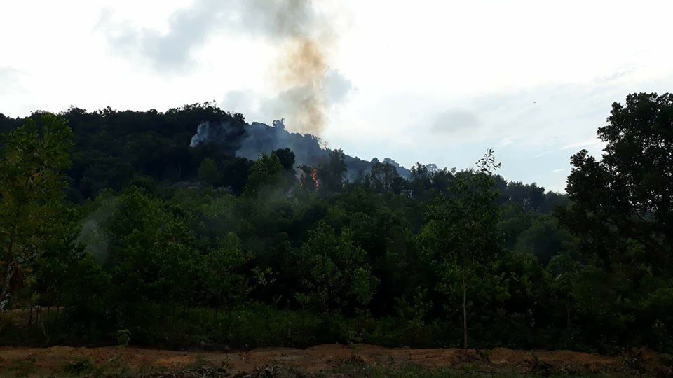 Cháy dữ dội rừng phòng hộ ở Phú Quốc nghi do dân đốt bao chiếm đất - Ảnh 2. Cháy dữ dội rừng phòng hộ ở Phú Quốc nghi do dân đốt bao chiếm đất - Ảnh 2.