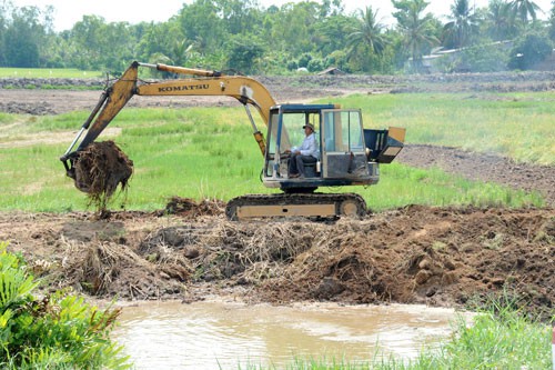 Cảnh báo việc tăng diện tích nuôi cá tra - Ảnh 1.