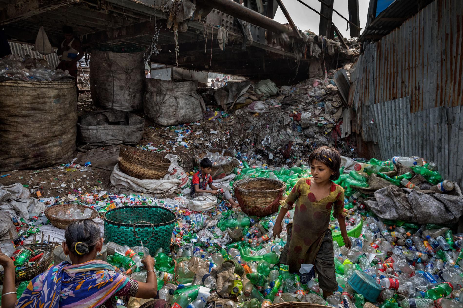 Ảnh hưởng của rác thải nhựa đối với môi trường và sức khỏe con người