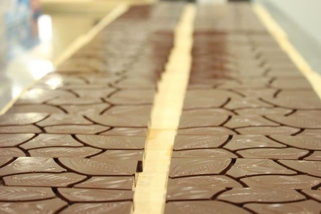 Hành trình biến hạt ca cao thành món chocolate vạn người mê - Ảnh 20.