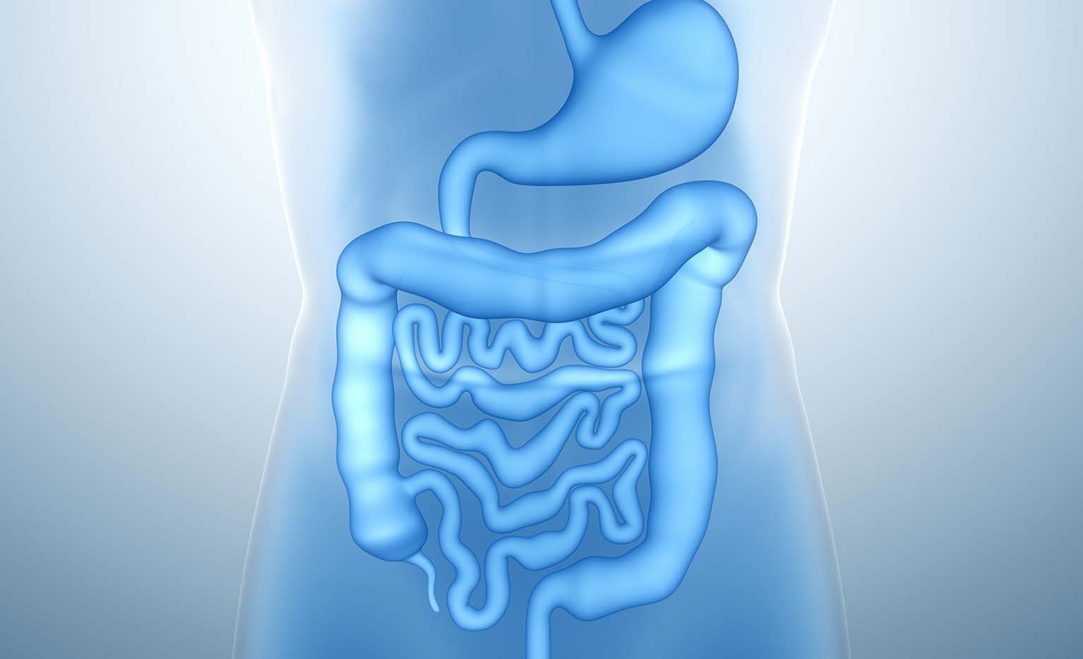 SIMILAC HMO - cột mốc mới trong hành trình nghiên cứu gần 100 năm - Ảnh 1.