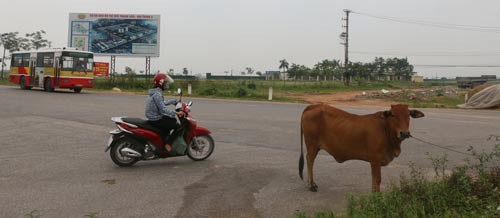 Hà Nội sau 10 năm mở rộng (*): Còn đó những nỗi lo - Ảnh 1.