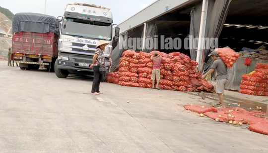 VIDEO điều tra: Đường đi nông sản Trung Quốc nhái Đà Lạt - Ảnh 2.