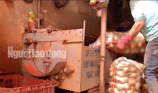 VIDEO: Vạch mặt chiêu trò phù phép nông sản Trung Quốc nhái Đà Lạt - Ảnh 4.