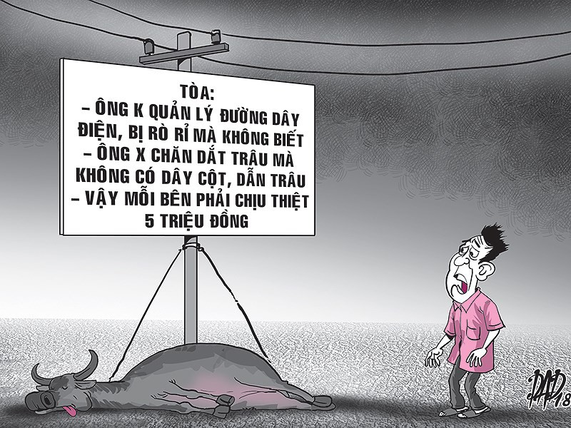 Vụ án con trâu cái ở Tây Ninh