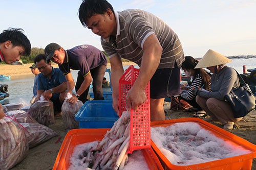 Sướng mắt với chợ cá tươi roi rói vào buổi sớm mai ở Bãi Phủ - Ảnh 2.
