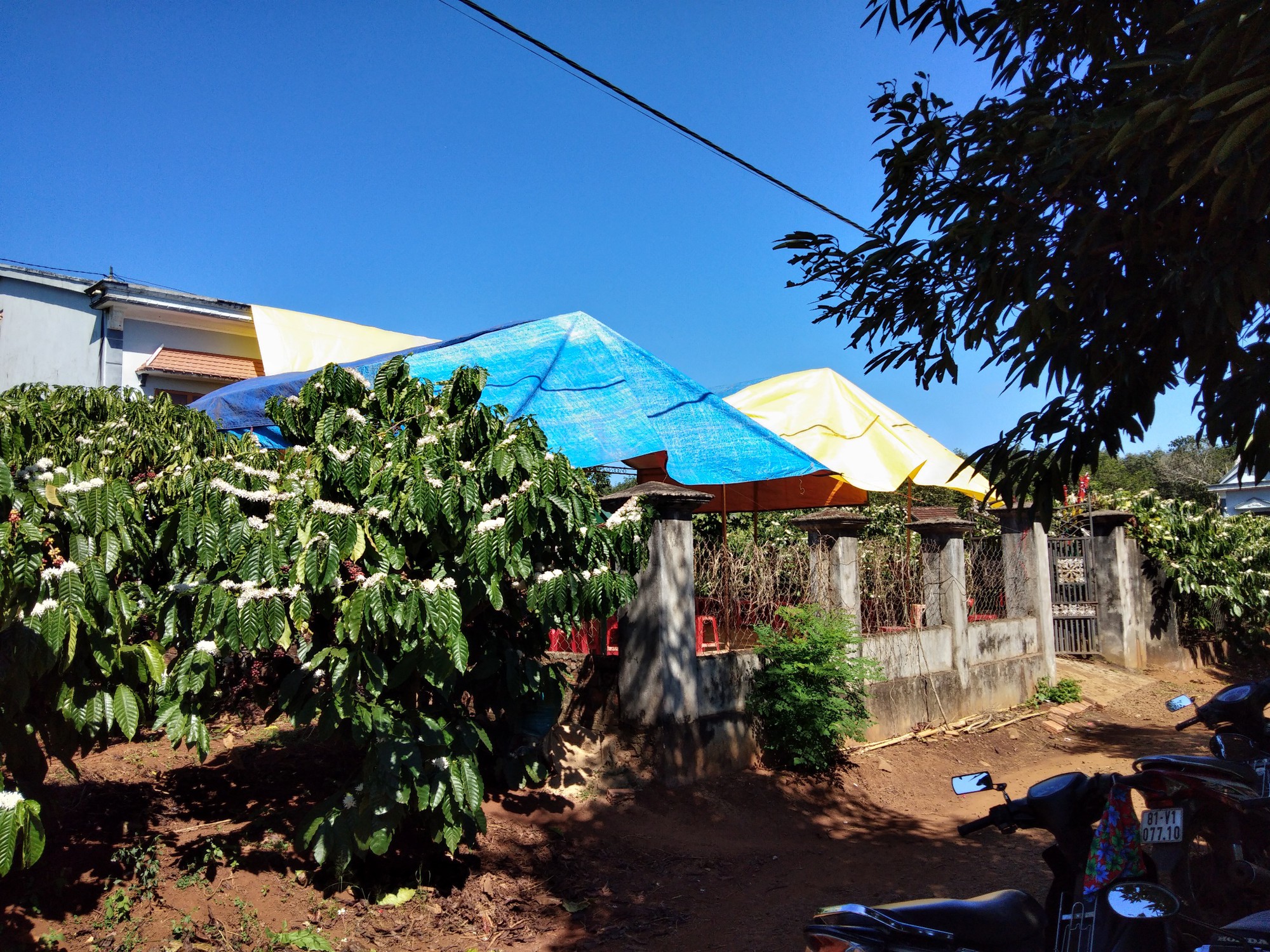 Nam sinh lớp 9 ở Gia Lai bị đâm thấu ngực: Sự việc đau lòng cần chú ý - Ảnh 2.