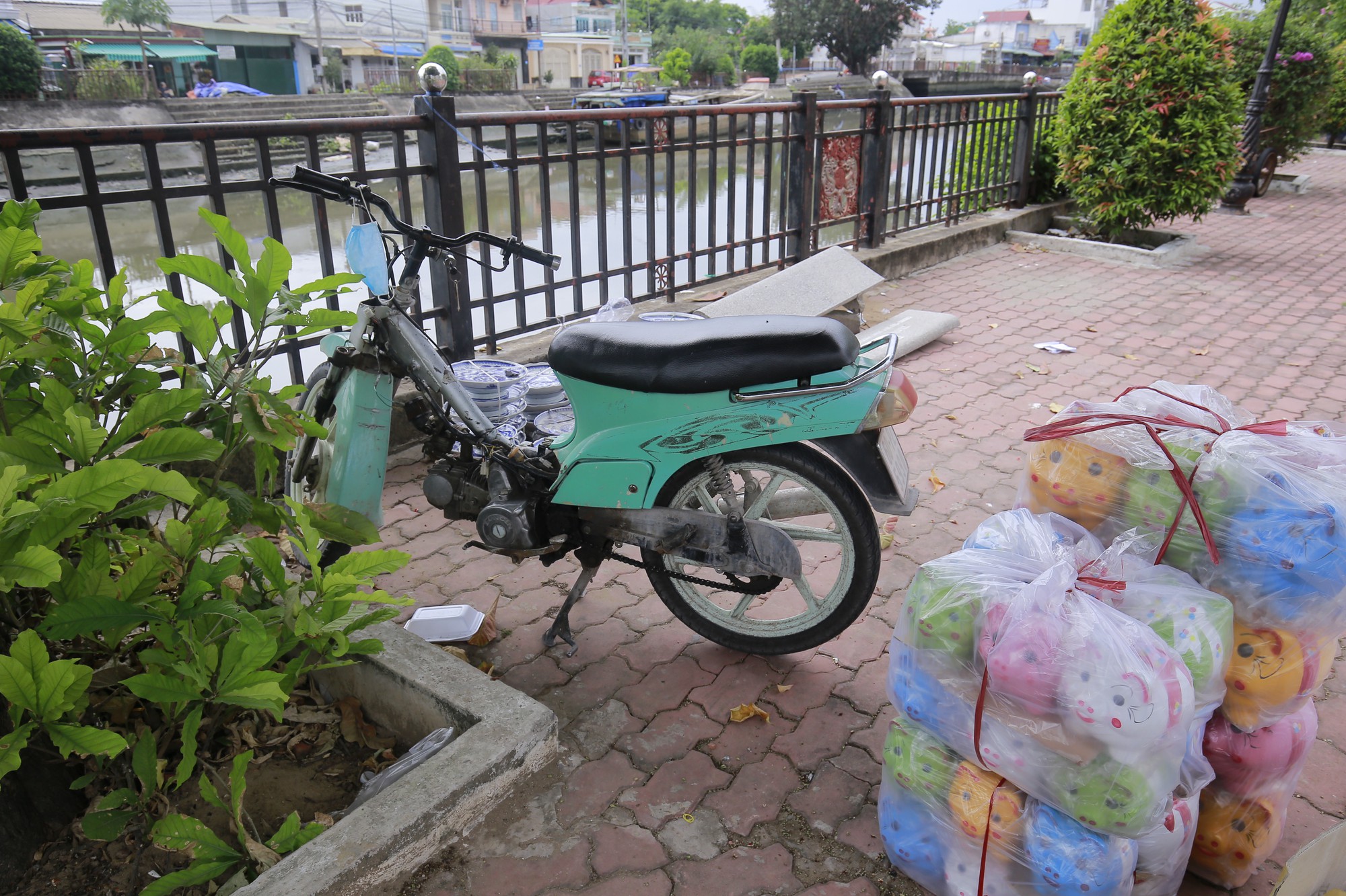 Vui vui với cảnh đẻ heo đất mừng năm Hợi - Ảnh 15.