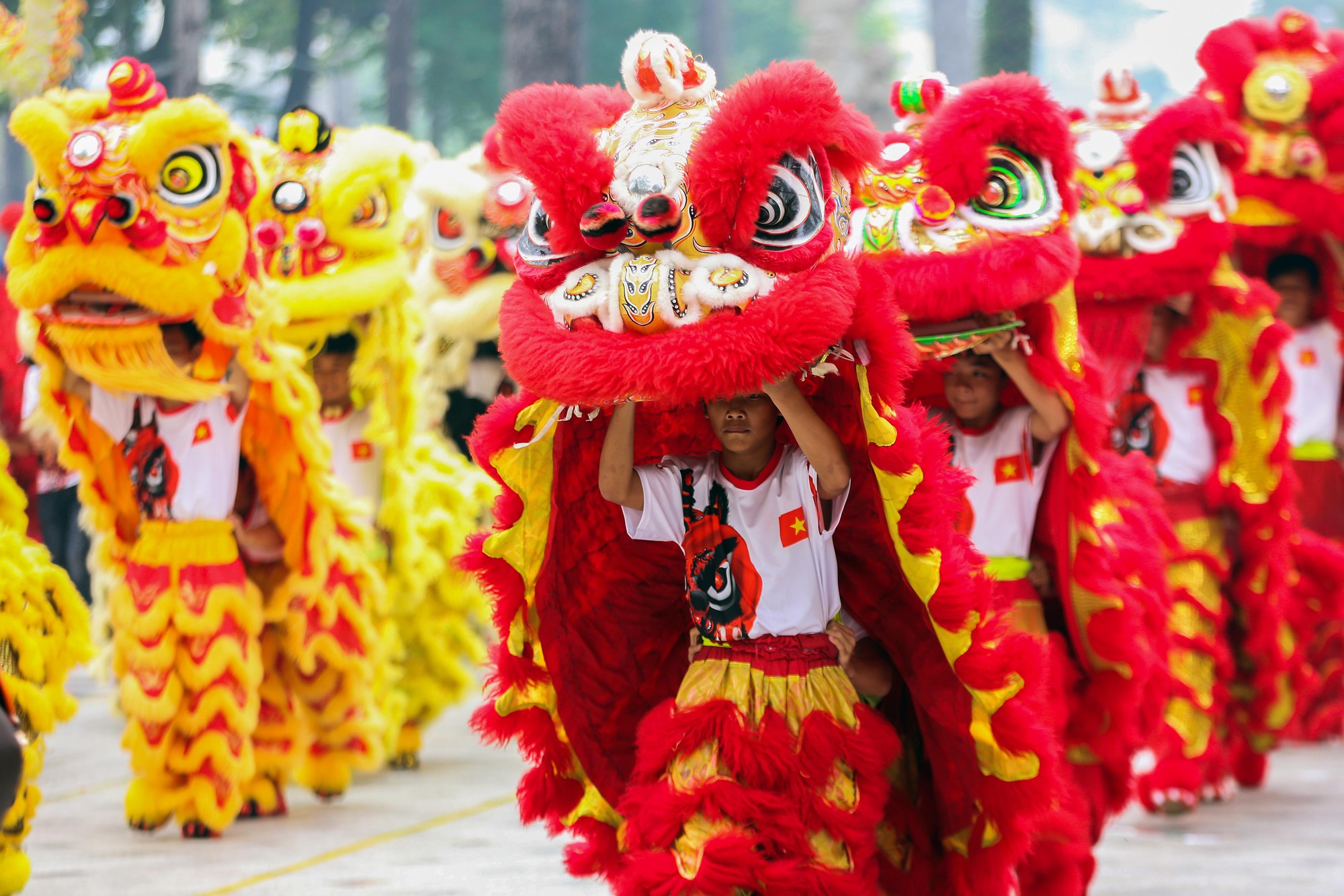 Tết Người Hoa luôn là một trong những lễ hội đặc sắc của người dân Sài Gòn. Hãy cùng xem những hình ảnh đầy màu sắc để tham quan những điều đặc biệt, những sản vật độc đáo đến từ quan niệm, truyền thống và tâm linh của người Hoa trong dịp Tết này.