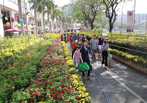 KHAI MẠC HỘI CHỢ HOA XUÂN PHÚ MỸ HƯNG TẾT KỶ HỢI 2019: GÓP XUÂN CHO ĐỜI - Ảnh 2. KHAI MẠC HỘI CHỢ HOA XUÂN PHÚ MỸ HƯNG TẾT KỶ HỢI 2019: GÓP XUÂN CHO ĐỜI - Ảnh 2.