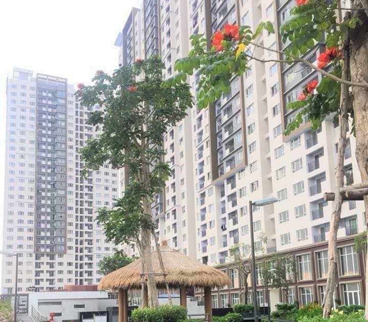 Thông tin về sự cố cháy tại Block B3 - Chung cư The Park Residence