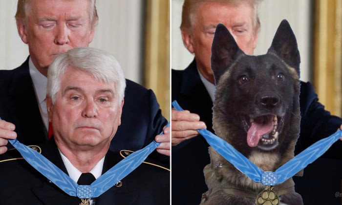 Tổng thống Trump đăng ảnh chế về chú chó dồn trùm IS vào đường cùng - Ảnh 1.