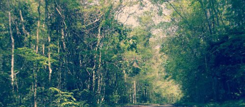 Nghẹt thở săn lùng tướng cướp Lã Quốc Sung, rúng động giang hồ