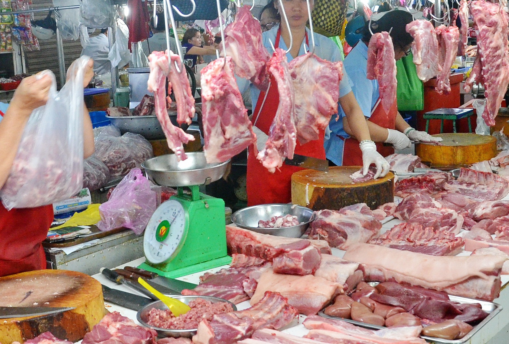 Chênh lệch giá 7.000 đồng - 8.000 đồng/kg, heo miền Nam "chạy" ra Bắc ? -  Báo Người lao động