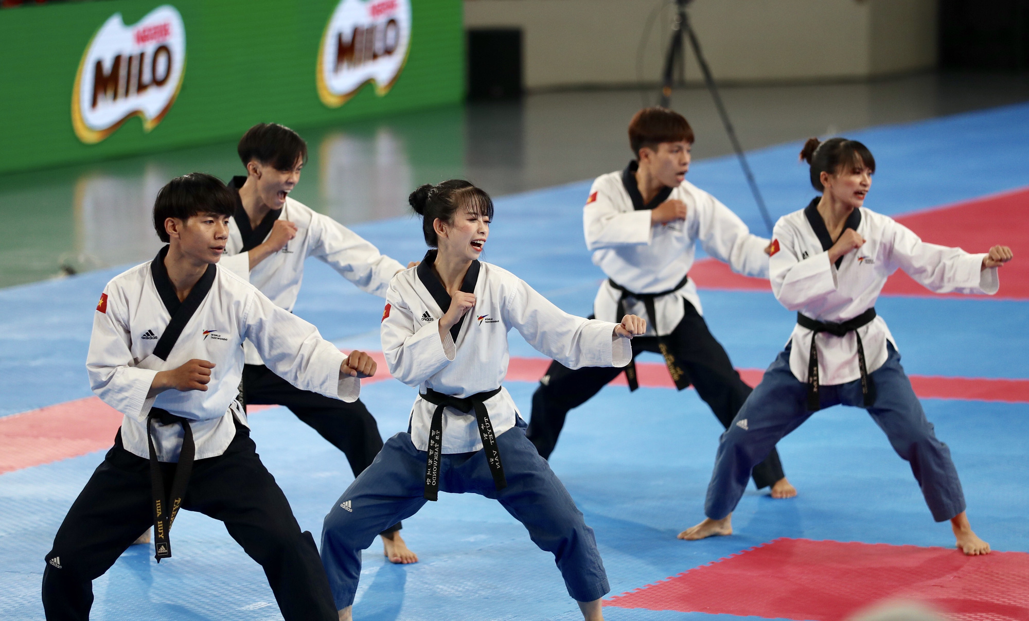 Chia sẻ hơn 70 về hình ảnh taekwondo mới nhất  coedocomvn