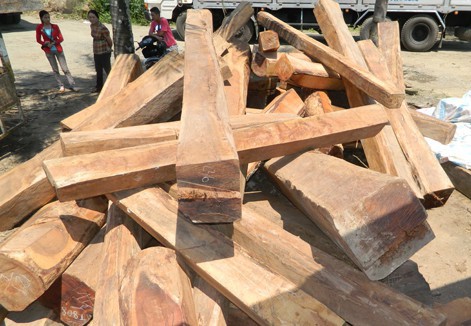 Quảng Nam: Nam công nhân bị gỗ đè chết - Ảnh 1.