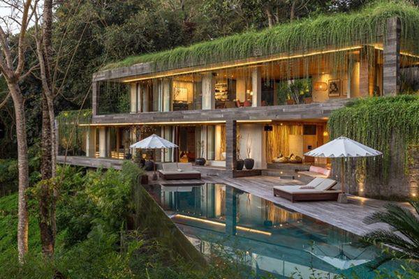 Căn nhà giữa rừng rậm vừa đẹp vừa tiện nghi